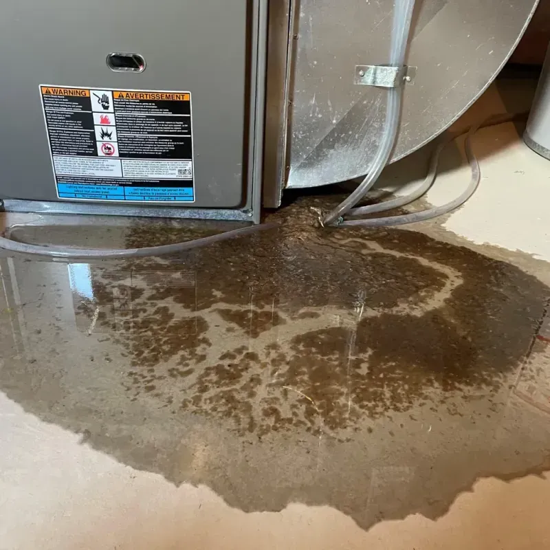 Appliance Leak Cleanup in Beckley, WV